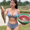 Maygioroiem