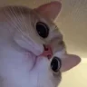 giomuathu