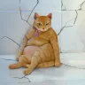 Mão Mèo Meo
