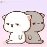 PhuBaTimCatKeo