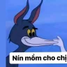Ninicania