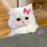 hamasaki279