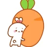 MEOCONNHO